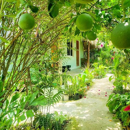 Las Palmas Bacalar Extérieur photo