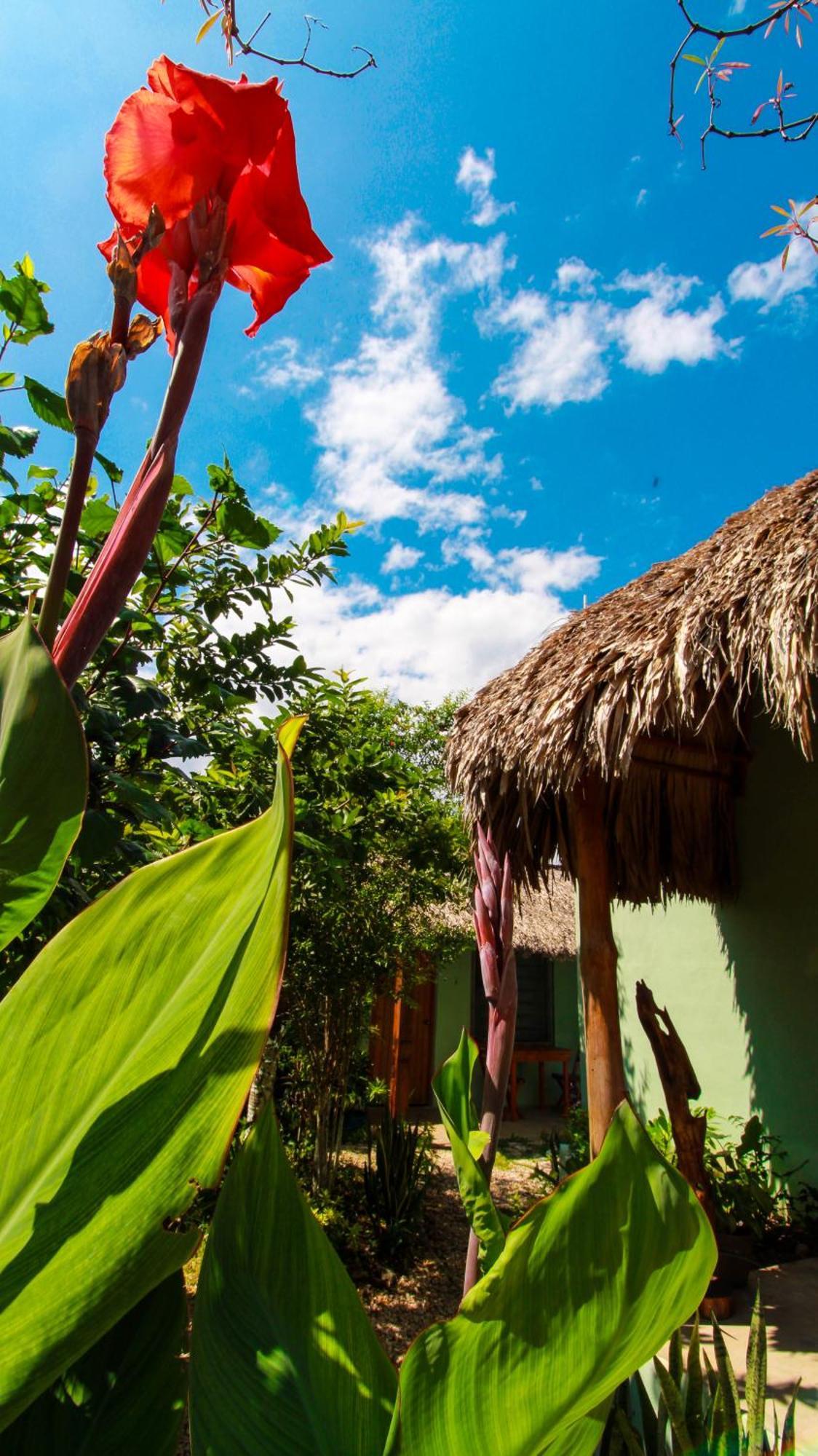Las Palmas Bacalar Extérieur photo