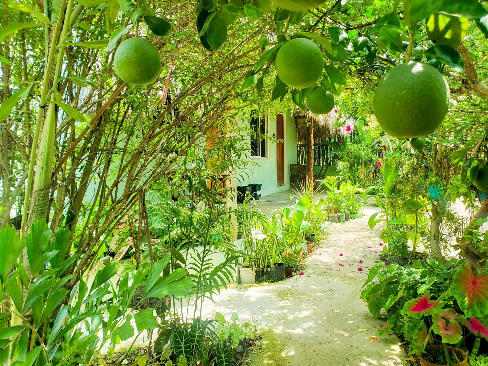 Las Palmas Bacalar Extérieur photo