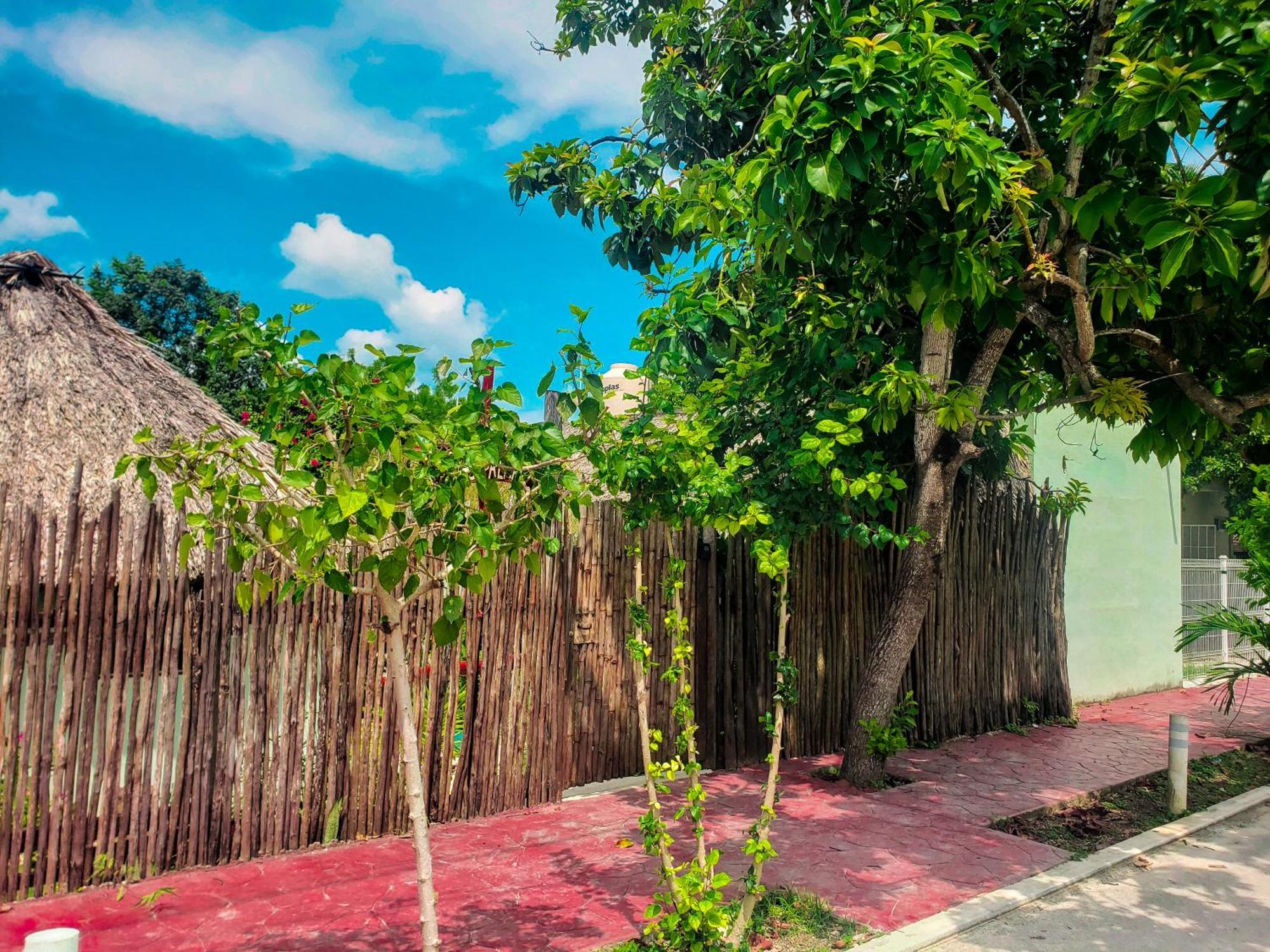 Las Palmas Bacalar Extérieur photo